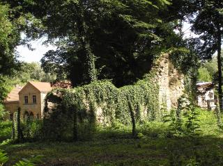 Staffagebau überwachsen mit Pflanzen. Im Hintergrund befinden der ehemalige Gutskindergarten.
