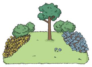 grüne Wiese mit Baum und kleinen Sträuchern