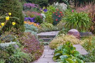 Ein Garten mit vielen bunten Blumen und Pflanzen.