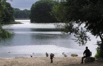 Entenvögel und 2 Personen am Ufer des Badestrandes.