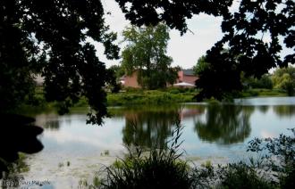Blick auf den Bornstedter See mit mit Uferzone. Im Hintergrund steht ein Gebäude.