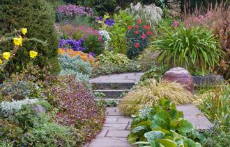 Ein Garten mit vielen bunten Blumen und Pflanzen.