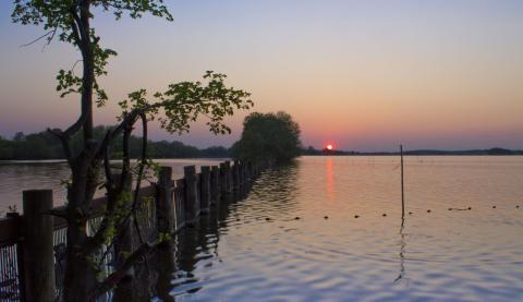 Fahrländer-See Blick auf Fahrländer-See bei Sonnenuntergang.