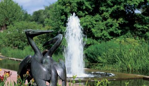 Freundschafts-Insel Potsdam Skulptur 2 Pelikane mit Springbrunnen und Begrünung im Sommer.